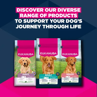 Eukanuba Premium Nutrition Senior Large & Giant Breed Lam & Ris