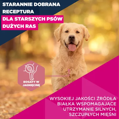 Eukanuba Premium Nutrition Senior Large & Giant Breed, jagnięcina i ryż