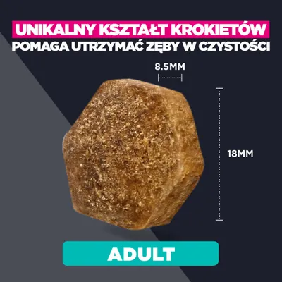 Kształt krokietów o wymiarach 8,5 mm x 18 mm. Unikalny kształt pomaga utrzymać czystość zębów. Adult. Kształt krokietów o wymiarach 8,5 mm x 18 mm. Unikalny kształt pomaga utrzymać czystość zębów. Adult.