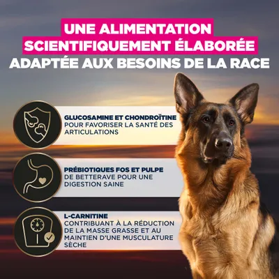 Glucosamine et chondroïtine pour la santé des articulations, prébiotiques FOS et pulpe de betterave pour une digestion saine, L-Carnitine pour réduire la masse grasse et préserver la masse musculaire.