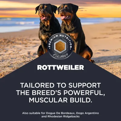 Premium Nutrition Rottweiler. Vyvinuté na podporu silnej telesnej stavby. Vhodné aj pre Dogue De Bordeaux, Dogo Argentino a Rhodesian Ridgebackov. Premium Nutrition Rottweiler. Vyvinuté na podporu silnej telesnej stavby. Vhodné aj pre Dogue De Bordeaux, Dogo Argentino a Rhodesian Ridgebackov.
