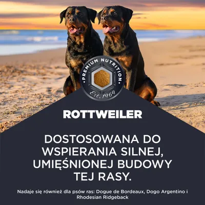 Premium Nutrition Rottweiler. Dostosowana karma do wspomagania silnej, muskularnej budowy ciała. Odpowiednia także dla Dogue de Bordeaux, Dogo Argentino oraz Rhodesian Ridgeback. Premium Nutrition Rottweiler. Dostosowana karma do wspomagania silnej, muskularnej budowy ciała. Odpowiednia także dla Dogue de Bordeaux, Dogo Argentino oraz Rhodesian Ridgeback.