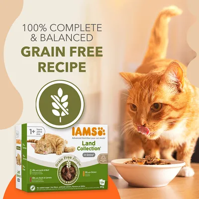 IAMS Advanced Nutrition Grain Free - Land Collection in Gravy