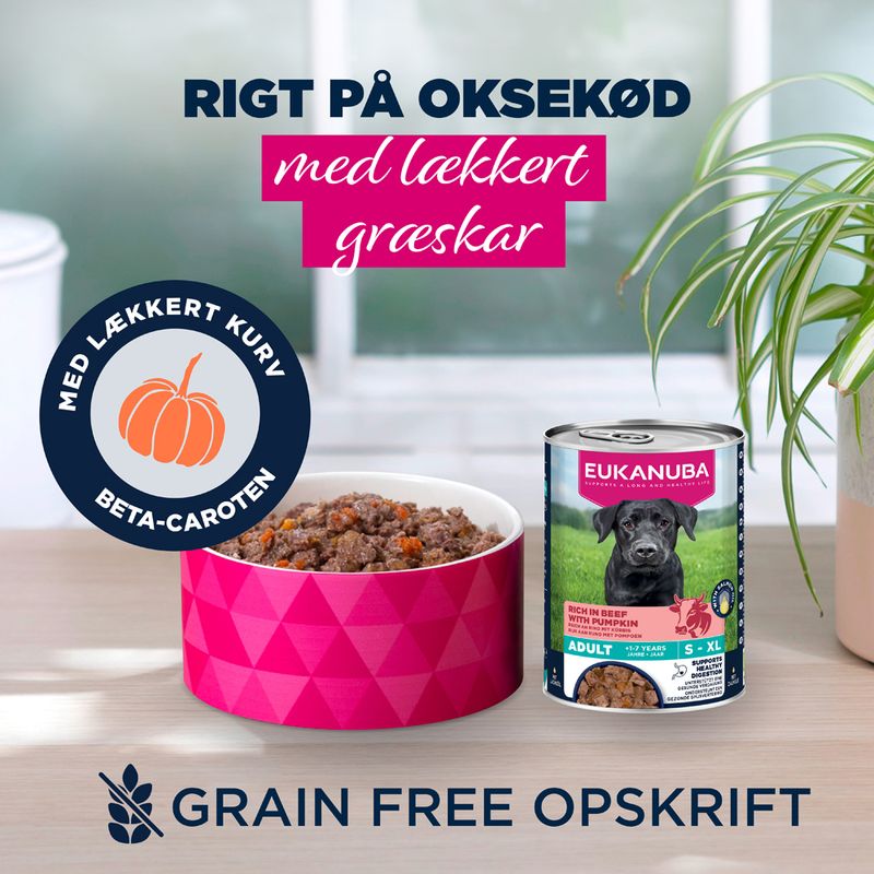Eukanuba Adult Rig på okse med græskar