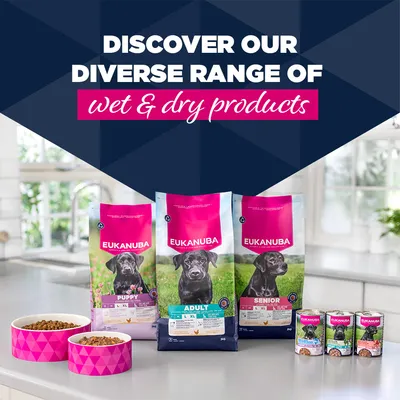 Eukanuba Adult pisztráng & édesburgonya