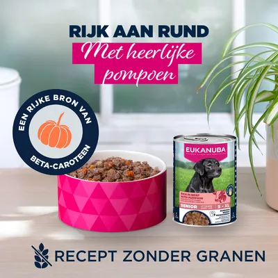 Eukanuba Senior Rijk aan rundvlees met pompoen