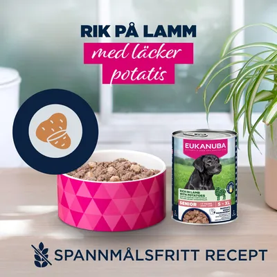 Eukanuba Senior Rich in lamm med potatis