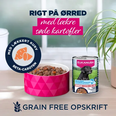 Eukanuba Senior Rig på ørred med søde kartofler