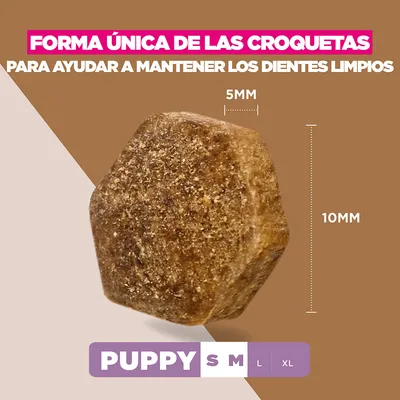 Eukanuba Grain Free Puppy Small & Medium Breed pescado de mar