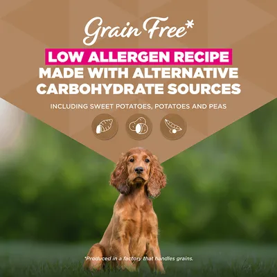 Eukanuba Grain Free Puppy Small & Medium Breed Havfisk