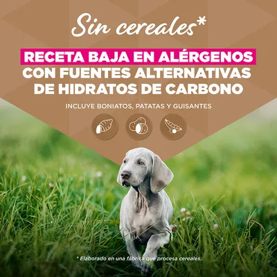 Eukanuba Grain Free Puppy Large & Giant Breed pescado de mar