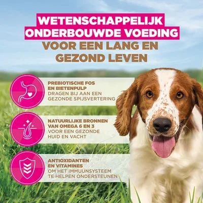 Eukanuba Grain Free Adult Small & Medium met Zeevis