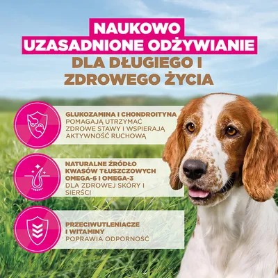 Eukanuba Grain Free Senior Small & Medium, ryba morska