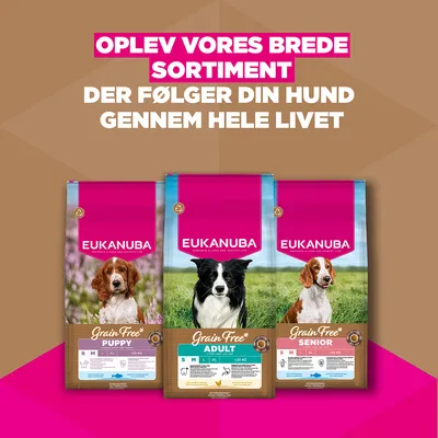 Eukanuba Grain Free Adult Small & Medium med kylling