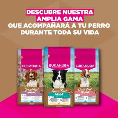 Eukanuba Grain Free Adult Small & Medium con pollo