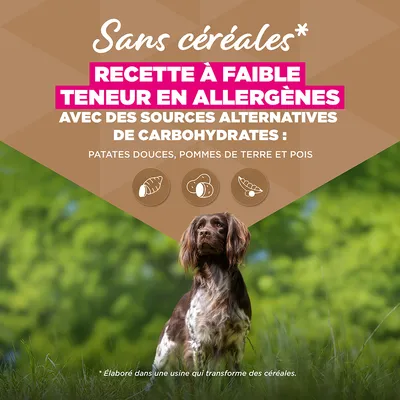 Eukanuba Grain Free Adult Small & Medium Poulet