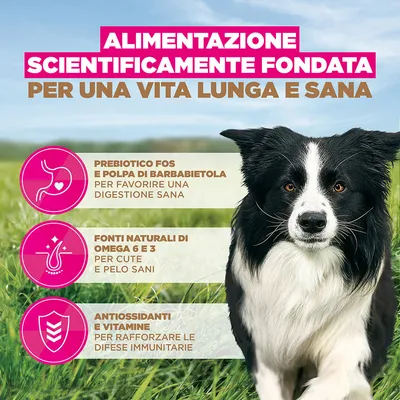 Eukanuba Grain Free Adult Small & Medium Pollo