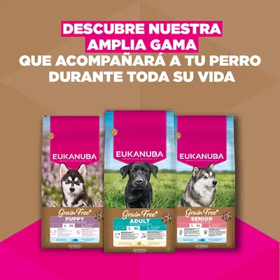 Eukanuba Grain Free Adult razas grandes con pollo