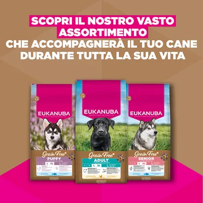 Eukanuba Grain Free Adult Large Pollo