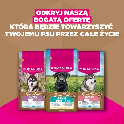 Eukanuba Grain Free Adult Large, kurczak