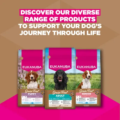 Eukanuba Grain Free Adult Κυνήγι