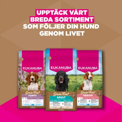 Eukanuba Grain Free Adult All Breeds Venison