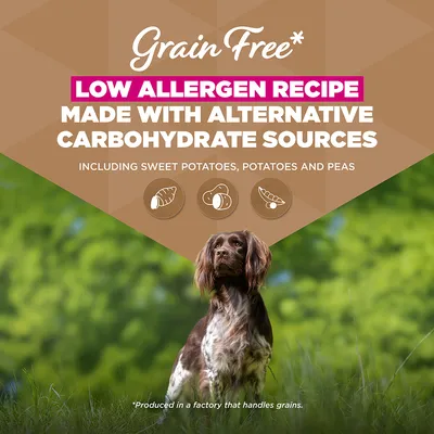 Eukanuba Grain Free Adult vad