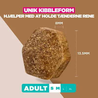 Eukanuba Grain Free Adult Small & Medium Lam