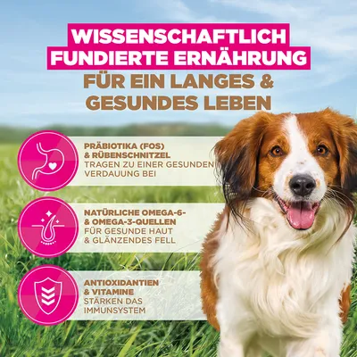 Eukanuba Grain Free Adult Small & Medium mit Lamm