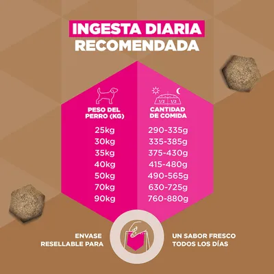 Eukanuba Grain Free Adult Large con cordero