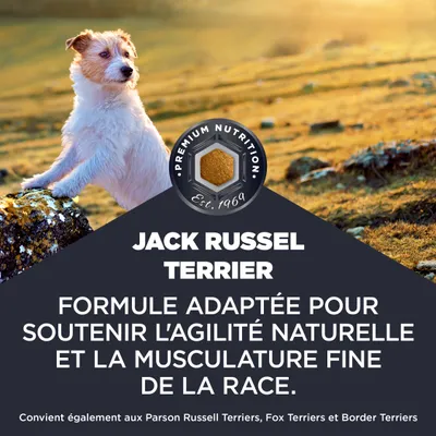 Jack Russel Terrier. Formule pour soutenir l’agilité naturelle et la musculature fine de la race. Convient également aux Parson Russell, Fox et Border Terrier. Jack Russel Terrier. Formule pour soutenir l’agilité naturelle et la musculature fine de la race. Convient également aux Parson Russell, Fox et Border Terrier.