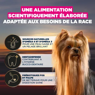 Conseil d’alimentation : Oméga 6 et 3 pour la peau et le pelage, Dentadefense pour l’hygiène bucco-dentaire, prébiotiques FOS et pulpe de betterave pour une digestion saine. Alimentation scientifiquement équilibrée. Conseil d’alimentation : Oméga 6 et 3 pour la peau et le pelage, Dentadefense pour l’hygiène bucco-dentaire, prébiotiques FOS et pulpe de betterave pour une digestion saine. Alimentation scientifiquement équilibrée.