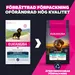 Eukanuba Adult Breed Care Dachshund