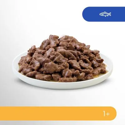 Bord met stukjes natvoer in saus, vispictogram rechtsboven en label '1+' linksonder zichtbaar.