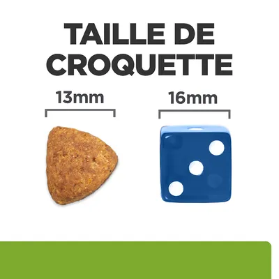 Taille de croquette : 13 mm à côté d’un dé bleu de 16 mm pour comparaison visuelle. Texte visible : TAILLE DE CROQUETTE, 13 mm, 16 mm.