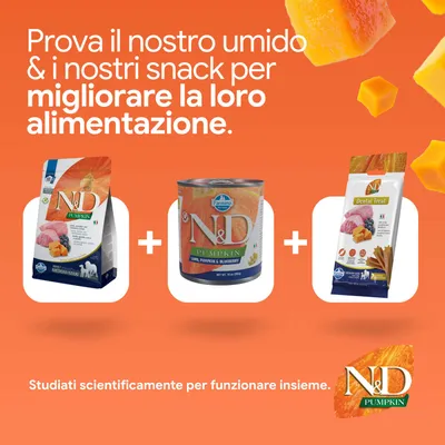 Prova il nostro alimento umido e i nostri snack, per migliorare la loro alimentazione. Sviluppati scientificamente per agire insieme. Prodotti N&D Pumpkin raffigurati. Prova il nostro alimento umido e i nostri snack, per migliorare la loro alimentazione. Sviluppati scientificamente per agire insieme. Prodotti N&D Pumpkin raffigurati.