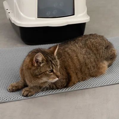 Grijze kattenbakmat van kunststof met liggende gestreepte kat ervoor, op de achtergrond een gesloten kattenbak met transparante deur en pootafdrukken.
