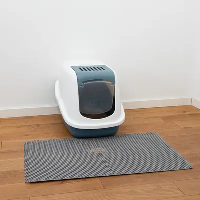Caja de arena cerrada para gatos con puerta abatible y ranuras de ventilación, alfombrilla gris delante sobre suelo de madera.