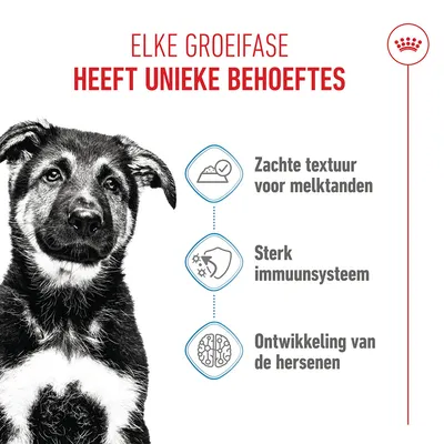 Royal Canin Maxi Puppy Hondenvoer in Saus