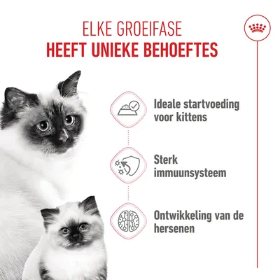 Royal Canin Mother & Babycat