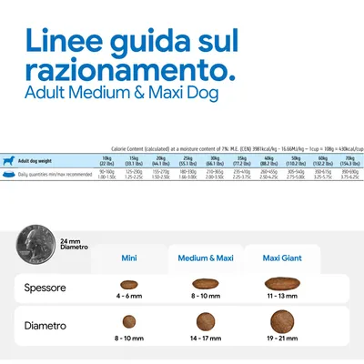 Tabella di alimentazione per cani adulti di taglia media e grande: quantità giornaliere consigliate in base al peso, dimensioni e spessore delle crocchette per mini, medium & maxi, maxi giant.