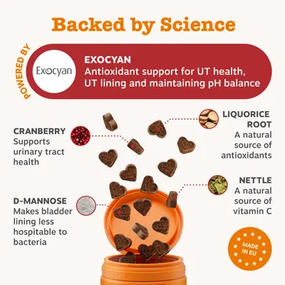 Exocyan: Antioxidant protection for the urinary tract, urinary tract mucosa and pH balance. Contains cranberries, D-mannose, liquorice root, nettle. Made in the EU. Exocyan: Antioxidant protection for the urinary tract, urinary tract mucosa and pH balance. Contains cranberries, D-mannose, liquorice root, nettle. Made in the EU.
