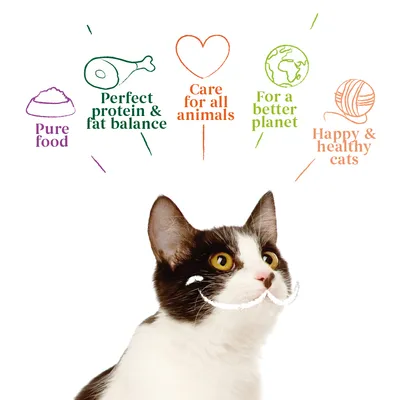 Image highlights pure food, perfect protein and fat balance, care for all animals, better planet, happy and healthy cats as product benefits.