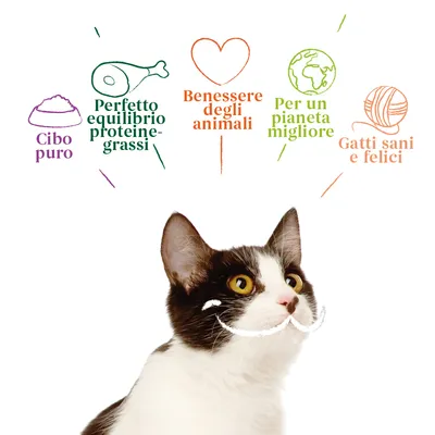 Cibo puro, Perfetto equilibrio proteine-grassi, Benessere degli animali, Per un pianeta migliore, Gatti sani e felici. Testo sopra un gatto bianco e nero.