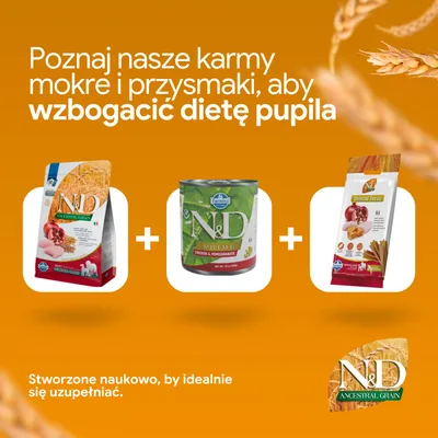 N&D karma sucha, N&D Prime karma mokra oraz N&D Dental Treats są prezentowane jako idealny suplement do zróżnicowanego żywienia. N&D karma sucha, N&D Prime karma mokra oraz N&D Dental Treats są prezentowane jako idealny suplement do zróżnicowanego żywienia.