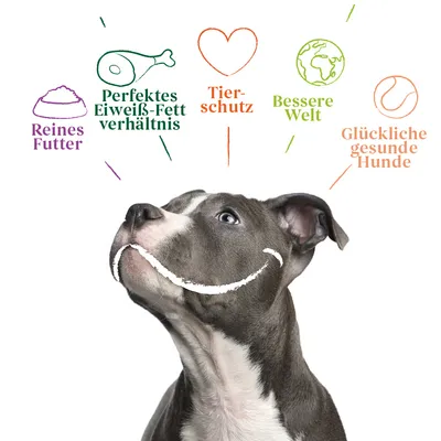 Reines Futter, perfektes Eiweiss-Fett-Verhältnis, Tierschutz, bessere Welt, glückliche gesunde Hunde. Hund mit gezeichnetem Lächeln.