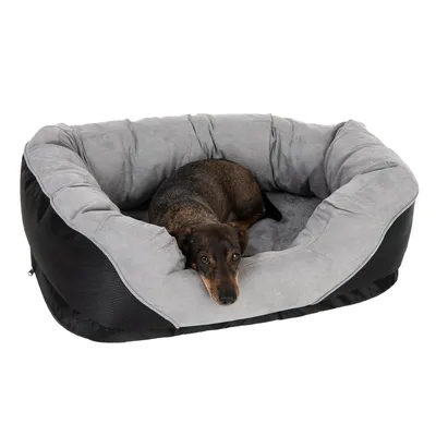 Graues Hundebett mit schwarzen Seiten, ein kleiner brauner Hund liegt darin.