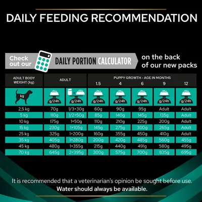 Daily feeding recommendation chart showing adult body weight in kg, daily food amounts for adults and puppies by age in months, plus advice to consult a vet and ensure water is always available.