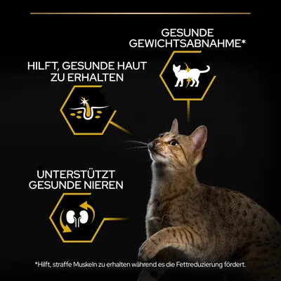 Texte en allemand : Gesunde Gewichtsabnahme, Hilft, gesunde Haut zu erhalten, Unterstützt gesunde Nieren. Astérisque : aide à maintenir des muscles fermes pendant la réduction de graisse.