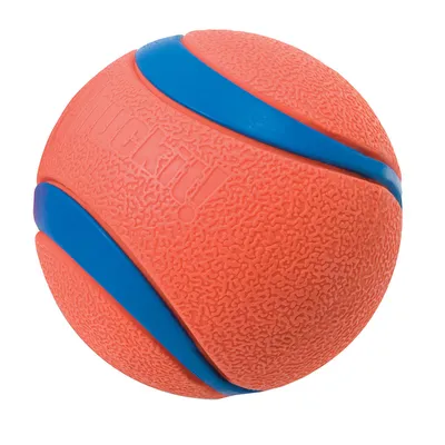 Chuckit! ball in orange with blue stripes, textured surface.